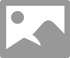 bridge (Idee).jpg
