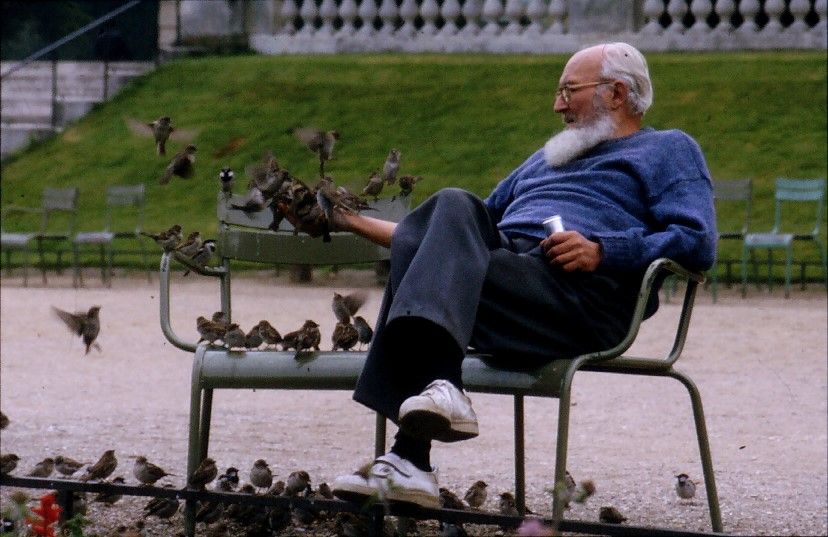 JardinDuLuxembourg_AlterMannSpatzenFütternd_19870614_3.jpg