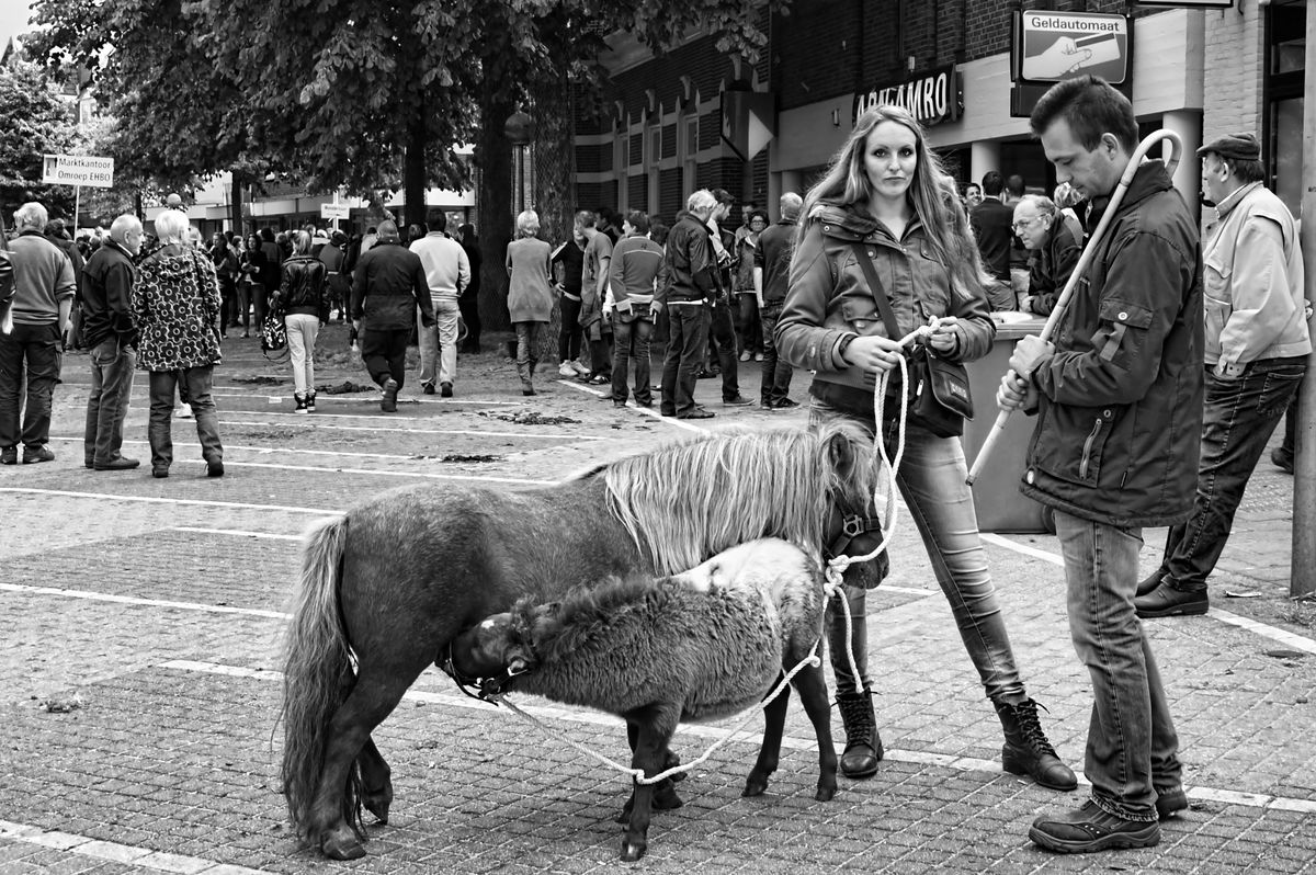 The Horse Market in Elst, its a great time to capture some images of traders and buyers.