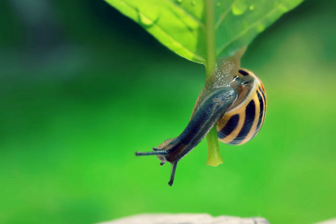 SWPA winner Jan main.jpg SWPA winner Jan main.jpg