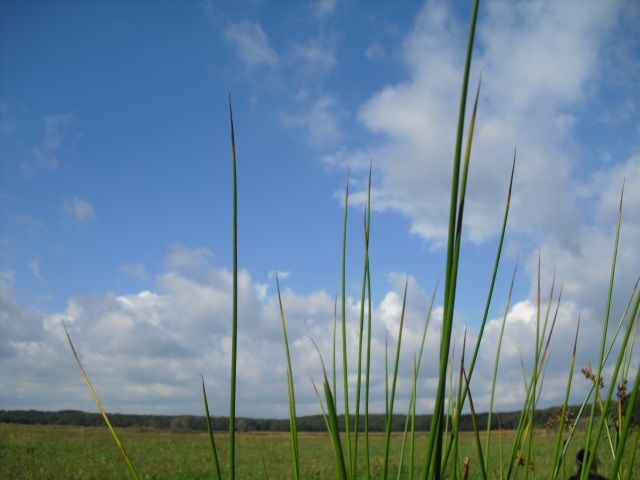 Midden Limburg