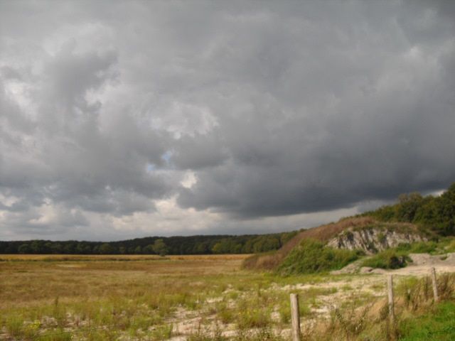 Midden Limburg