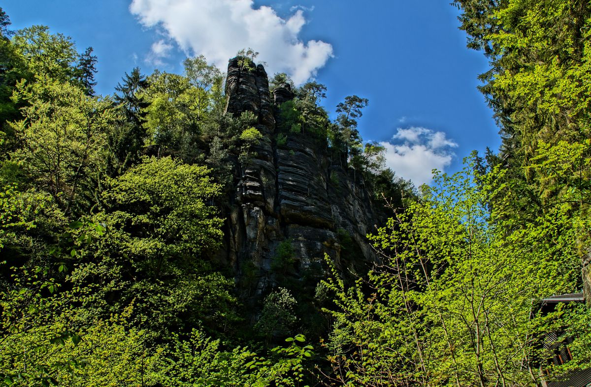 Oberhalb des Amselfalls
Kurort Rathen