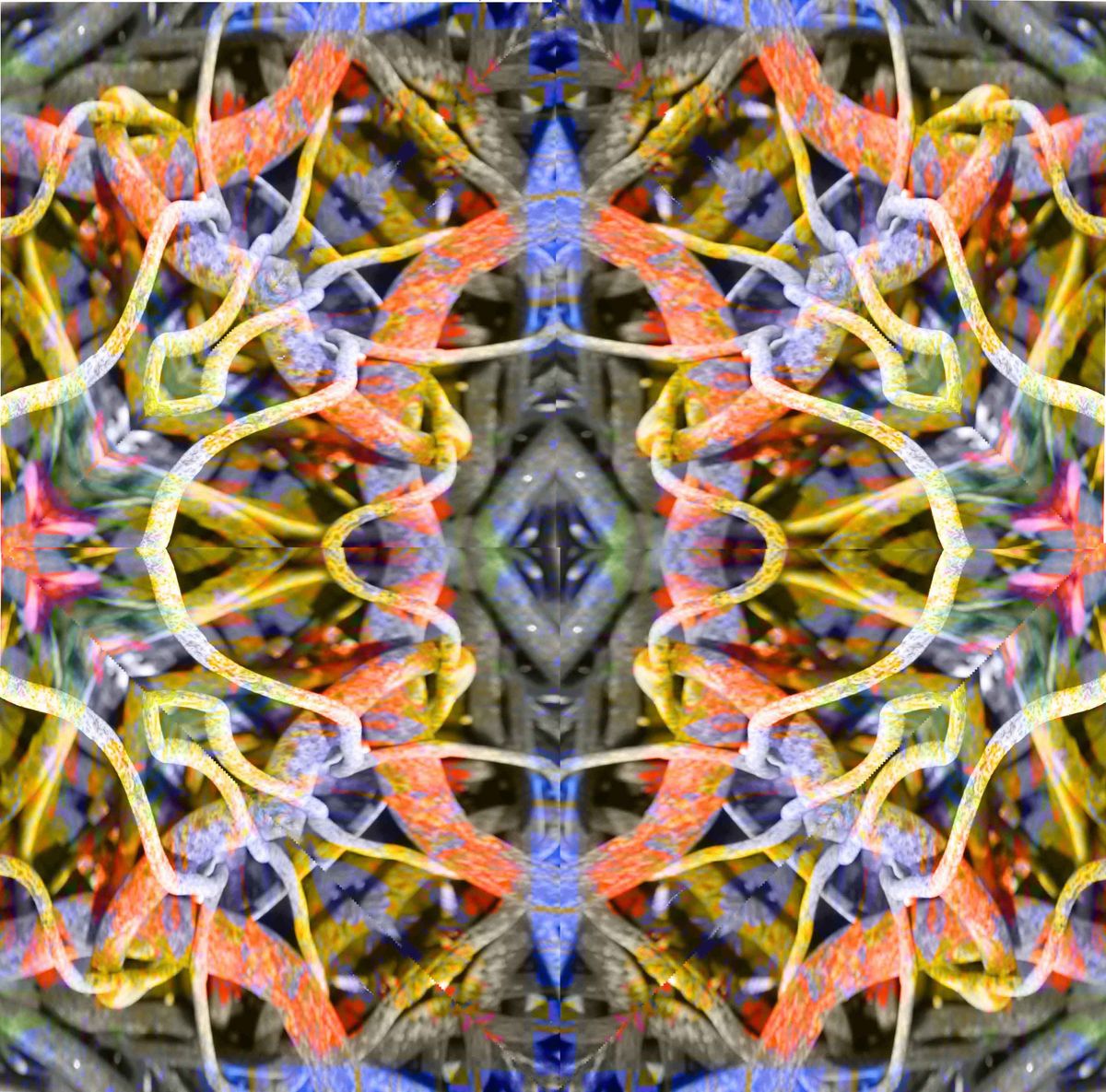 Spiegelung 1