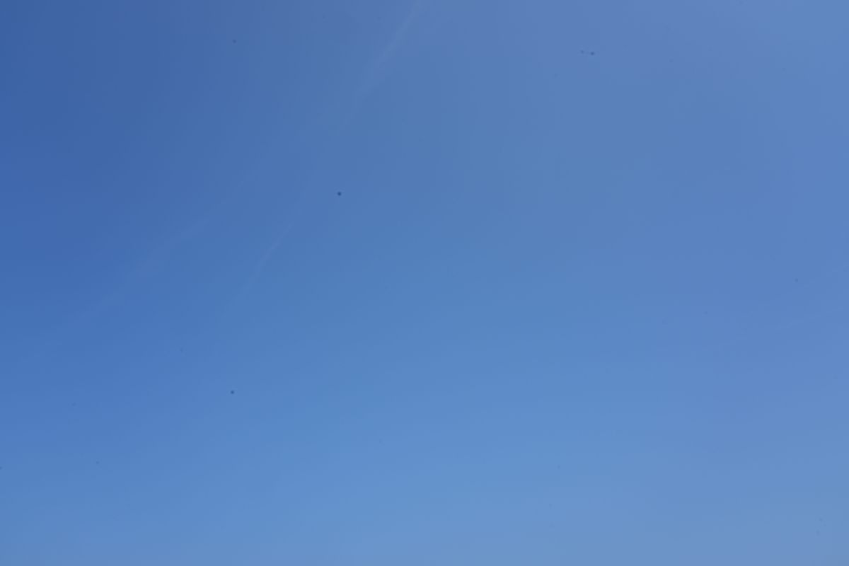 DSC00382.jpg
