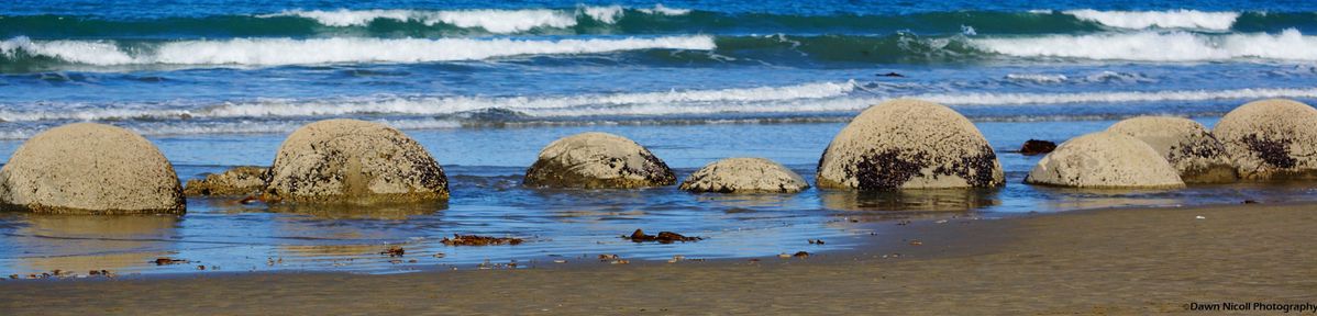 New Zealand boulder beach 